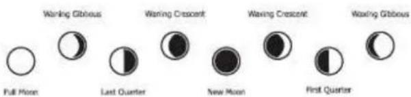 Waning Gibbous Waning Crescent Waning Crescent Waning Gibbous Full Moon Last Quarter New Moon First Quarter