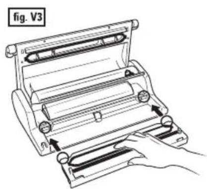 fig. V3