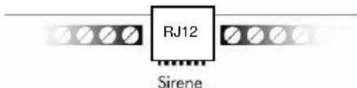 RJ12 Sirene