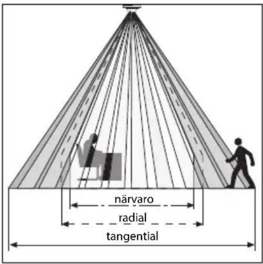 närvaro radial tangential