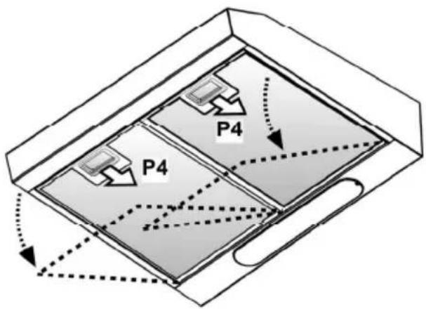 P4 P4