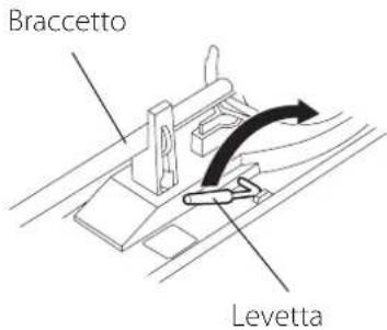 Braccetto Levetta