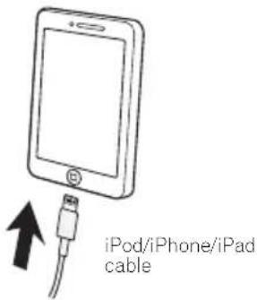 iPod/iPhone/iPad cable