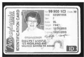 POMY-DAVID IDENTIFICATION CARD 99 900 103 Churn 90 ISSN 02/28/1916 City F Estate UL 7545 10/18/2005 10/21/2009 ORANDONOR EVELYN T SAMPLE 123 HIGHLAND AVE WILKES MARRIE TA 00008 ID