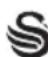 SWAN SK13130N - BS PLUG - 1