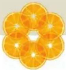 Close-up of a sliced orange with visible segments and light reflections (no text or symbols)