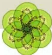 Abstract green flower-like pattern with interlocking petals and central motif (no text or symbols)