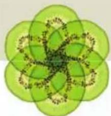 Abstract green floral pattern with interlocking petals and central motif (no text or symbols)