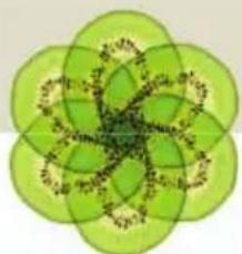 Abstract green floral pattern with interlocking petals and central dot motif (no text or symbols)