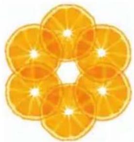 Illustration of a flower cut showing five orange slices with visible petals and centers (no text or symbols)