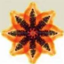 Symmetrical orange and black starburst pattern resembling a stylized flower or star (no text or symbols)