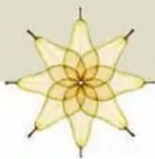 Symmetrical geometric flower-like pattern with eight petals and a central star (no text or symbols)