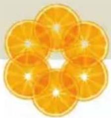 Close-up of a flower cut showing six slices of oranges with visible petals and center (no text or symbols)