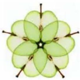 Symmetrical green flower-like shape with six petals and central stamen (no text or symbols)