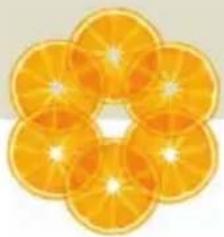 Close-up of a flower's six slices of oranges with visible petals and center (no text or symbols)