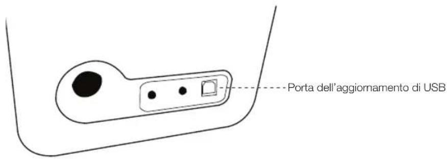 Porta dell'aggiornamento di USB