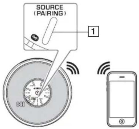 SOURCE (PAIRING) 1