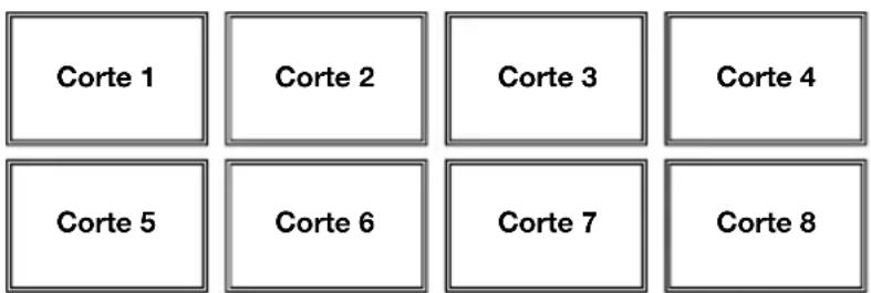 Corte 1 Corte 2 Corte 3 Corte 4 Corte 5 Corte 6 Corte 7 Corte 8
