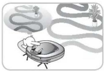 Illustration of a baby in a bathtub with flowing paths and potted plants.