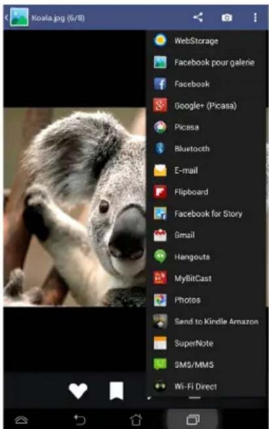 Koala.jpg (5/8) WebStorage Facebook pour galerie Facebook Google+ (Picasa) Picasa Bluetooth E-mail Flipboard Facebook for Story Gmail Hangouts MyBitCast Photos Send to Kindle Amazon SuperNote SMS/MMS Wi-Fi Direct