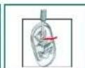 NEFF W5420X1EU - Install the transport safety devices: - 2