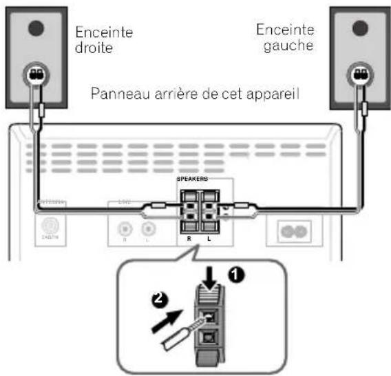 Enceinte droite Enceinte gauche Panneau arrière de cet appareil SPEAKERD R L ① ②