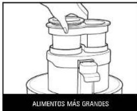 ALIMENTOS MÁS GRANDES