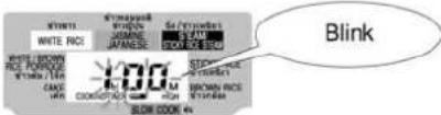 HITACHI Fuzzy RZ-DMA18Y - How to Slow Cook - 2