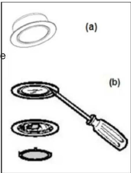 (a) (b)