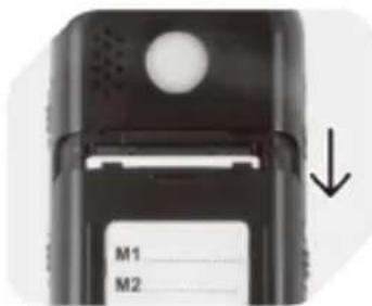 M1 M2
