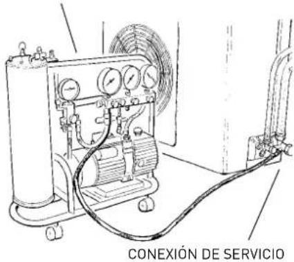 CONEXIÓN DE SERVICIO