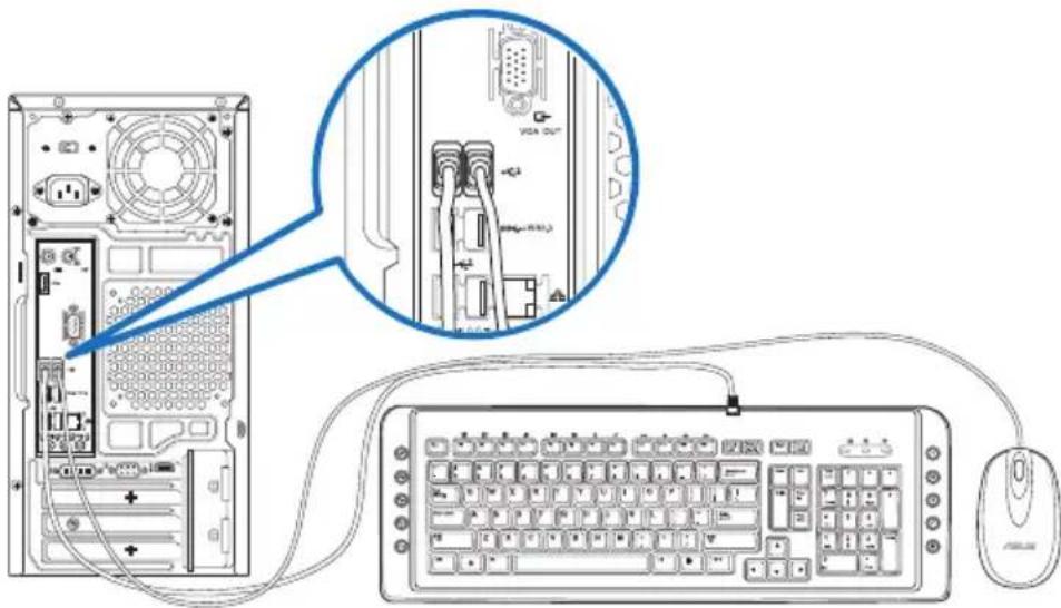 ASUS M11AD - Σύνδεση ενός πληκτρολογίου USB και ενός ποντικιού USB - 1