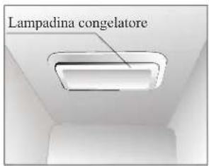 Lampadina congelatore