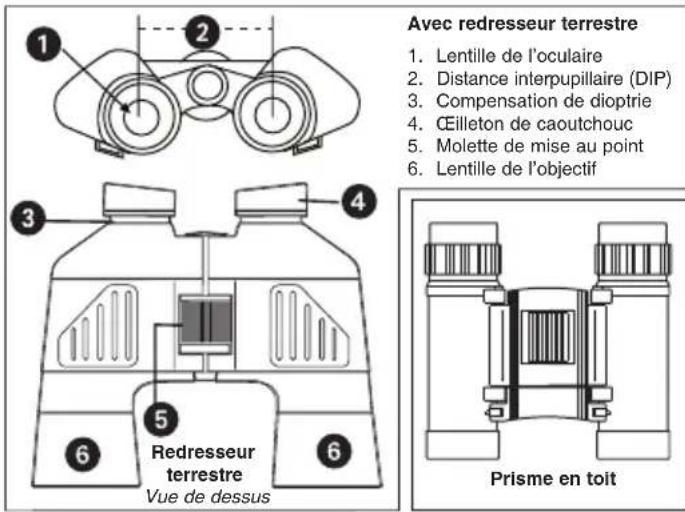 MEADE Rainforest - PRESENTATION DE VOS JUMELLES MEADE - 1