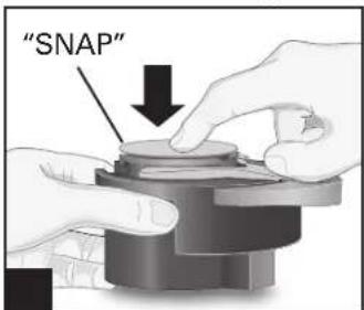 "SNAP"