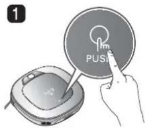 1 PUSIE