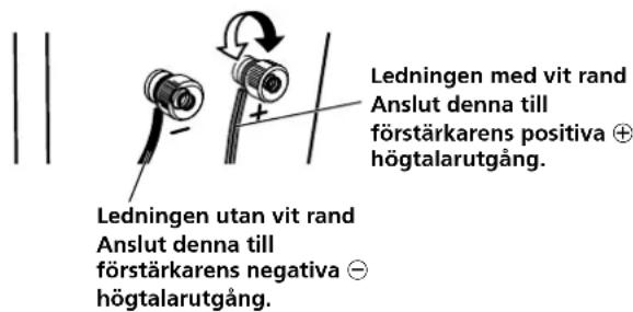 Ledningen med vit rand Anslut denna till förstärkarens positiva ⊕ högtalarutgång. Ledningen utan vit rand Anslut denna till förstärkarens negativa ⊖ högtalarutgång.