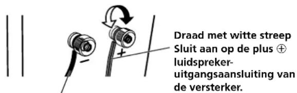 Draad met witte streep Sluit aan op de plus ⊕ luidspreker- uitgangsaansluiting van de versterker.
