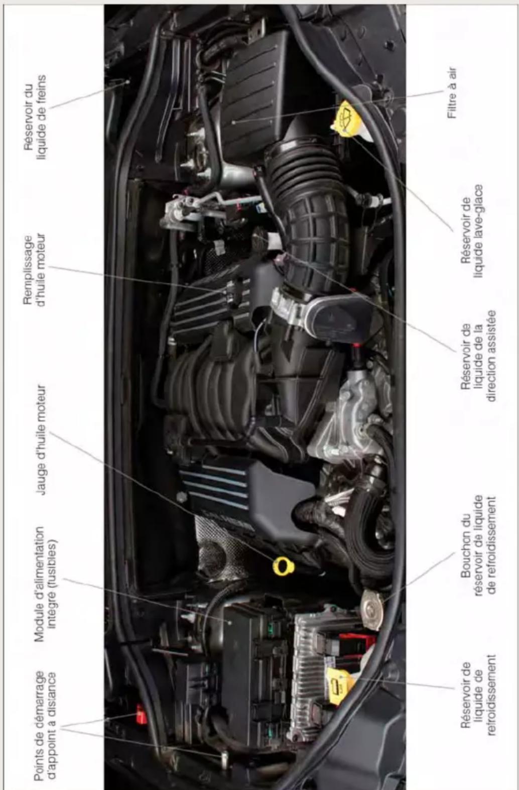 Points de démarrage d'appoint à distance Module d'alimentation intégré (fusibles) Jauge d'huile moteur Remplissage d'huile moteur Réservoir du liquide de freins Réservoir de liquide de refroidissement Bouchon du réservoir de liquide de refroidissement Réservoir de liquide de la direction assistée Réservoir de liquide lave-glace Filtre à air