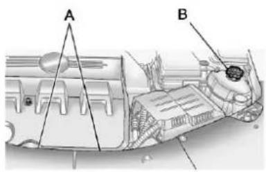 A B