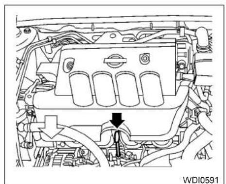 NISSAN Sentra (2010) - HUILEMOTEUR - 1