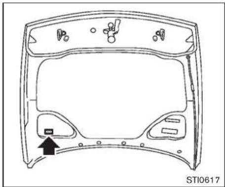 NISSAN 370Z (2010) - IDENTIFICATIONDUVE HICULE - 6