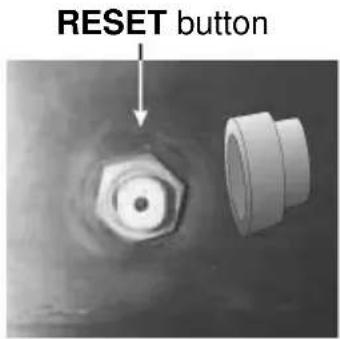 RESET button