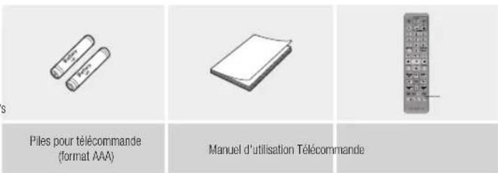 Piles pour télécommande (format AAA) Manuel d'utilisation Télécommande