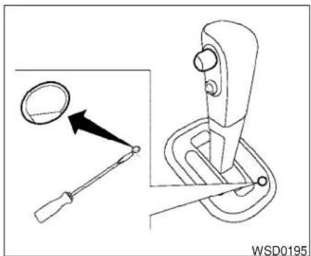 WSD0195