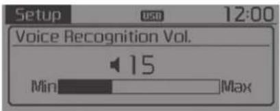 Setup 12:00 Voice Recognition Vol. 15 Min Max