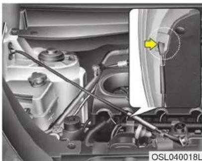 KIA Sportage (2016) - CAPOT - 3