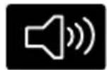 Lincoln MKX (2015) - Sounding a Panic Alarm - 1
