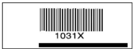 1031X