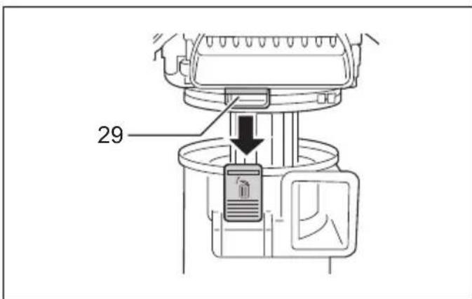 29